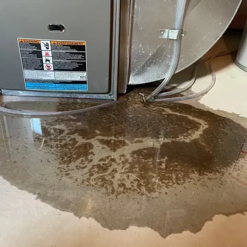 Appliance Leak Cleanup in Seneca, IL